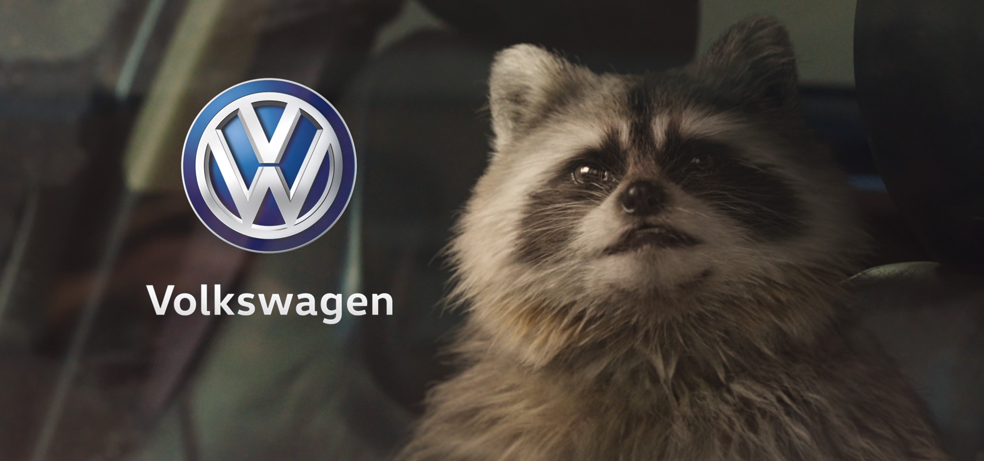Volkswagen Raccoon
